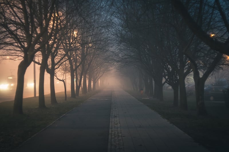 Pathway Lighting in Garden